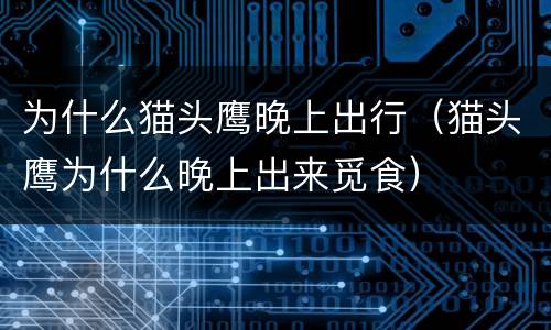 为什么猫头鹰晚上出行（猫头鹰为什么晚上出来觅食）