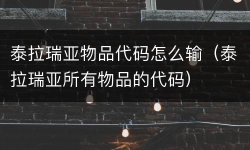 泰拉瑞亚物品代码怎么输（泰拉瑞亚所有物品的代码）
