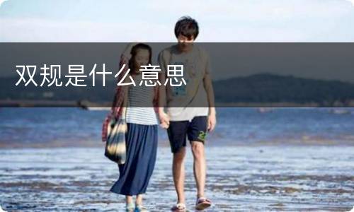 双规是什么意思