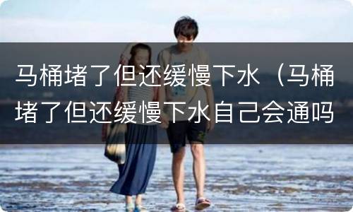 马桶堵了但还缓慢下水（马桶堵了但还缓慢下水自己会通吗）
