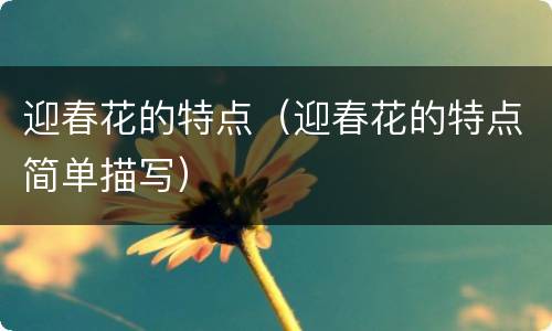 迎春花的特点（迎春花的特点简单描写）