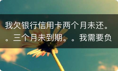 我欠银行信用卡两个月未还。。三个月未到期。。我需要负法律责任吗