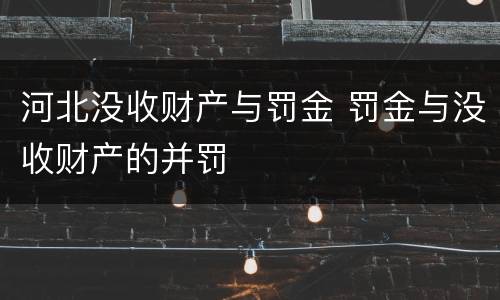 河北没收财产与罚金 罚金与没收财产的并罚