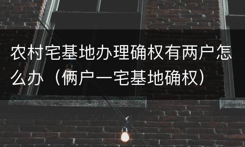 农村宅基地办理确权有两户怎么办（俩户一宅基地确权）