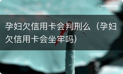孕妇欠信用卡会判刑么（孕妇欠信用卡会坐牢吗）