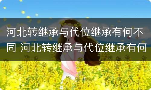 河北转继承与代位继承有何不同 河北转继承与代位继承有何不同之处