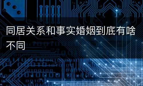 同居关系和事实婚姻到底有啥不同