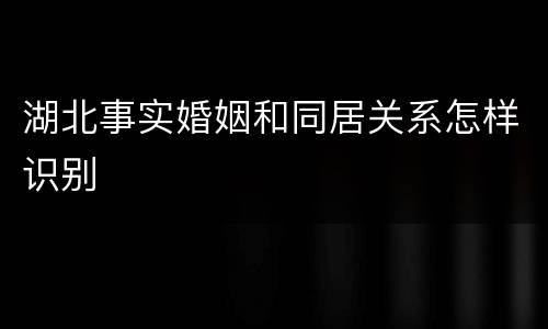湖北事实婚姻和同居关系怎样识别