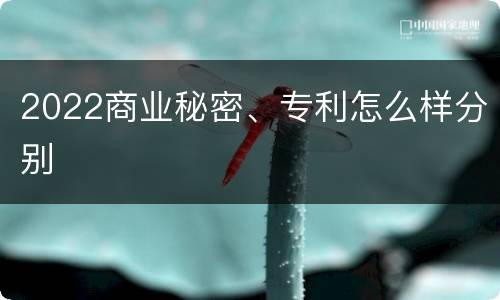 2022商业秘密、专利怎么样分别