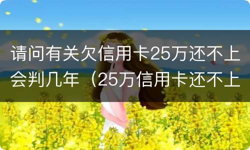 请问有关欠信用卡25万还不上会判几年（25万信用卡还不上怎么办）