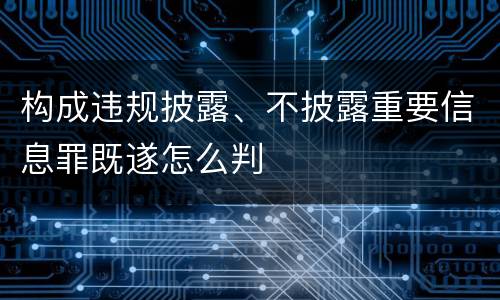 构成违规披露、不披露重要信息罪既遂怎么判