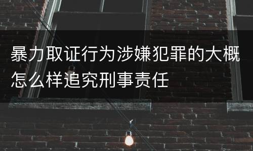 暴力取证行为涉嫌犯罪的大概怎么样追究刑事责任