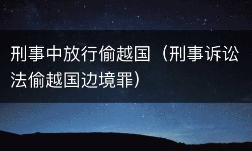 刑事中放行偷越国（刑事诉讼法偷越国边境罪）