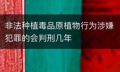 非法种植毒品原植物行为涉嫌犯罪的会判刑几年
