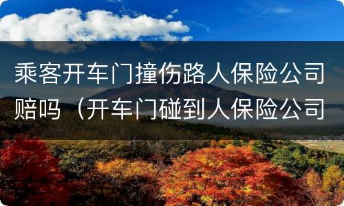 乘客开车门撞伤路人保险公司赔吗（开车门碰到人保险公司赔吗）