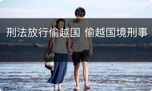 刑法放行偷越国 偷越国境刑事
