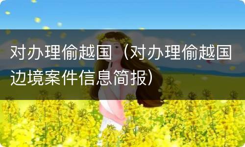 对办理偷越国（对办理偷越国边境案件信息简报）