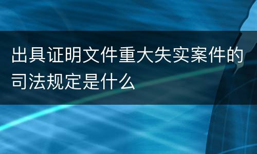 出具证明文件重大失实案件的司法规定是什么