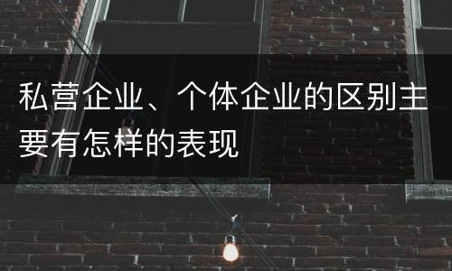 私营企业、个体企业的区别主要有怎样的表现