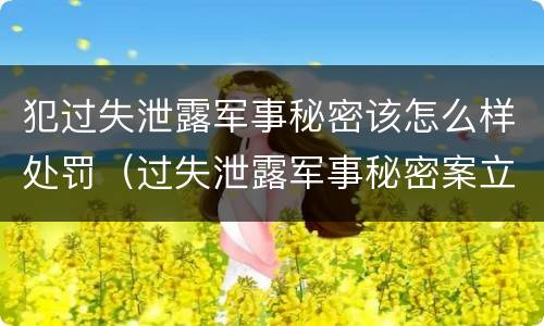 犯过失泄露军事秘密该怎么样处罚（过失泄露军事秘密案立案标准）