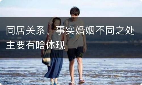 同居关系、事实婚姻不同之处主要有啥体现