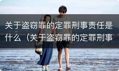 关于盗窃罪的定罪刑事责任是什么（关于盗窃罪的定罪刑事责任是什么意思）