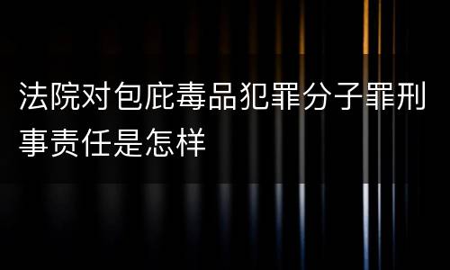 法院对包庇毒品犯罪分子罪刑事责任是怎样