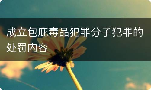 成立包庇毒品犯罪分子犯罪的处罚内容