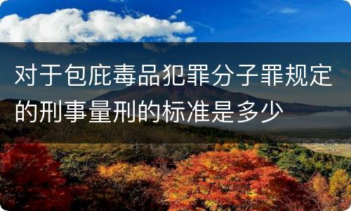 对于包庇毒品犯罪分子罪规定的刑事量刑的标准是多少