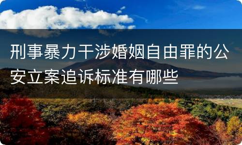刑事暴力干涉婚姻自由罪的公安立案追诉标准有哪些