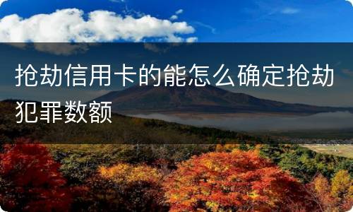 抢劫信用卡的能怎么确定抢劫犯罪数额