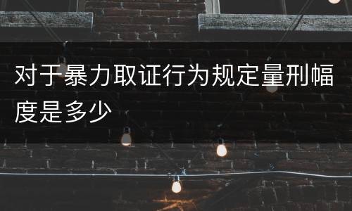 对于暴力取证行为规定量刑幅度是多少