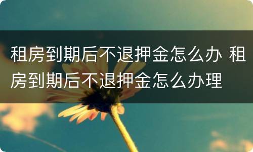 租房到期后不退押金怎么办 租房到期后不退押金怎么办理