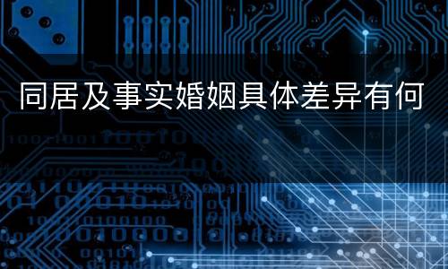 同居及事实婚姻具体差异有何