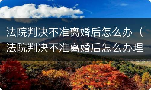 法院判决不准离婚后怎么办（法院判决不准离婚后怎么办理）