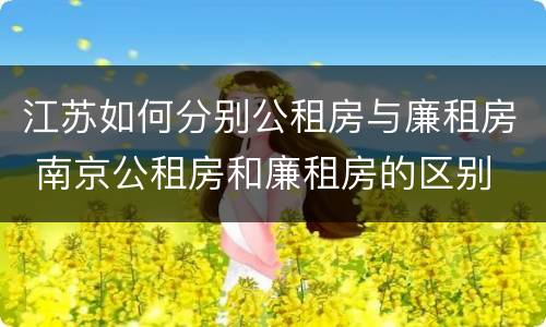 江苏如何分别公租房与廉租房 南京公租房和廉租房的区别