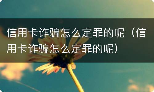 信用卡诈骗怎么定罪的呢（信用卡诈骗怎么定罪的呢）
