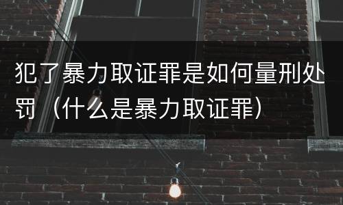 犯了暴力取证罪是如何量刑处罚（什么是暴力取证罪）