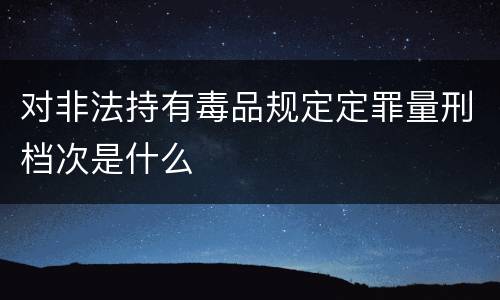对非法持有毒品规定定罪量刑档次是什么