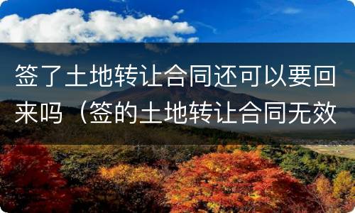 签了土地转让合同还可以要回来吗（签的土地转让合同无效怎么办）