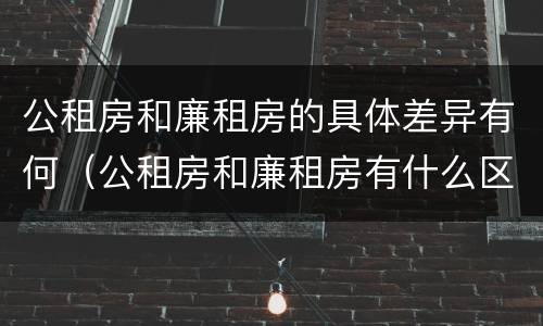 公租房和廉租房的具体差异有何（公租房和廉租房有什么区别呢）