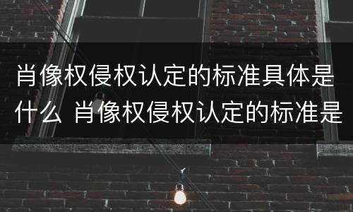 肖像权侵权认定的标准具体是什么 肖像权侵权认定的标准是什么民法典
