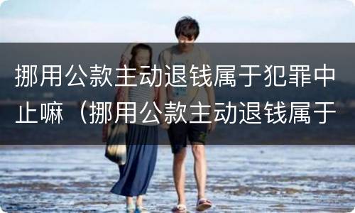 挪用公款主动退钱属于犯罪中止嘛（挪用公款主动退钱属于犯罪中止嘛为什么）