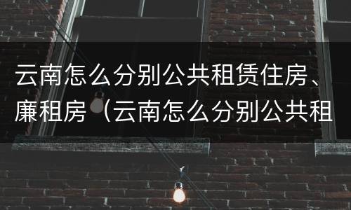 云南怎么分别公共租赁住房、廉租房（云南怎么分别公共租赁住房,廉租房和住宅）