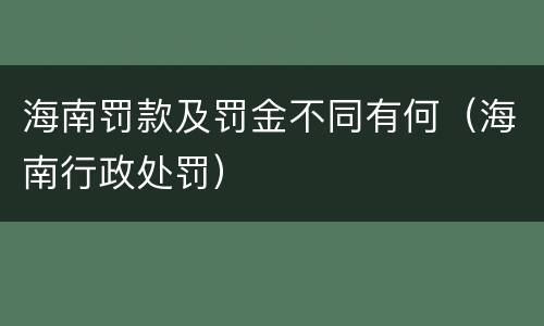 海南罚款及罚金不同有何（海南行政处罚）