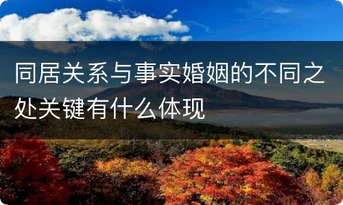 同居关系与事实婚姻的不同之处关键有什么体现