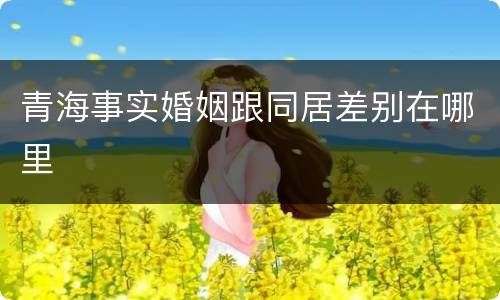 青海事实婚姻跟同居差别在哪里