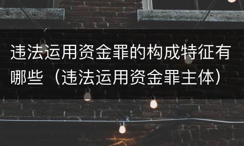违法运用资金罪的构成特征有哪些（违法运用资金罪主体）