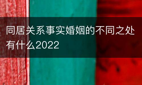 同居关系事实婚姻的不同之处有什么2022