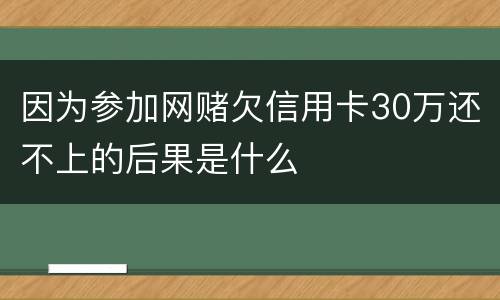 因为参加网赌欠信用卡30万还不上的后果是什么